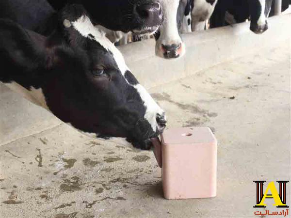 اطلاعاتی درباره نمک دام و طیور