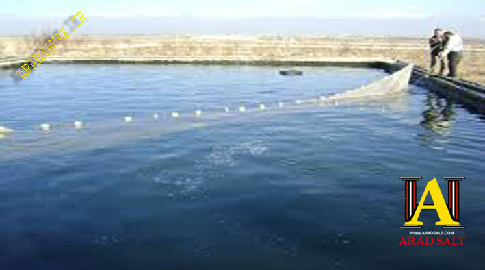 نمک طیور و آبزیان