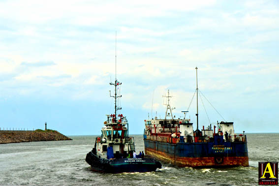 صادرات انواع نمک