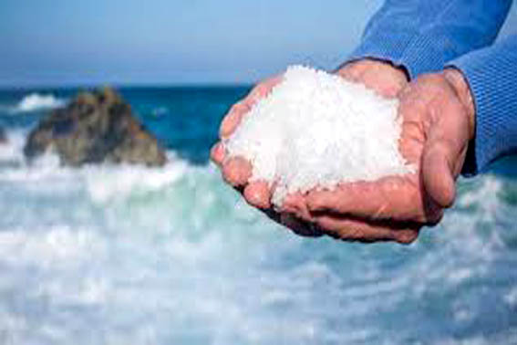 فروش نمک ارزان