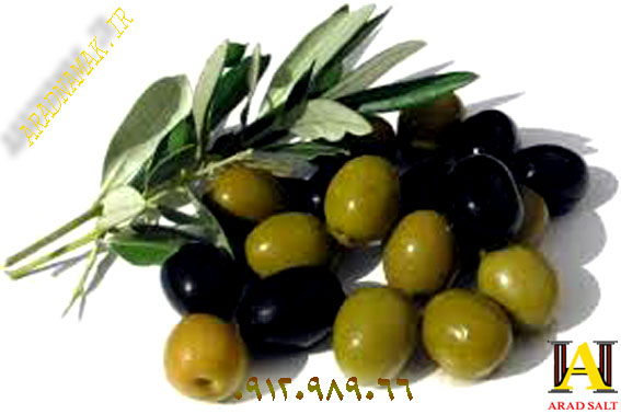 فروش نمک زیتون
