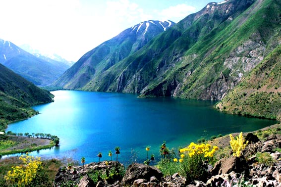 نمک بدون سدیم