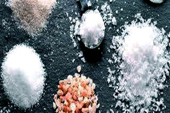 تولید انواع نمک