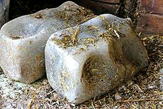 نمک طیور و دام