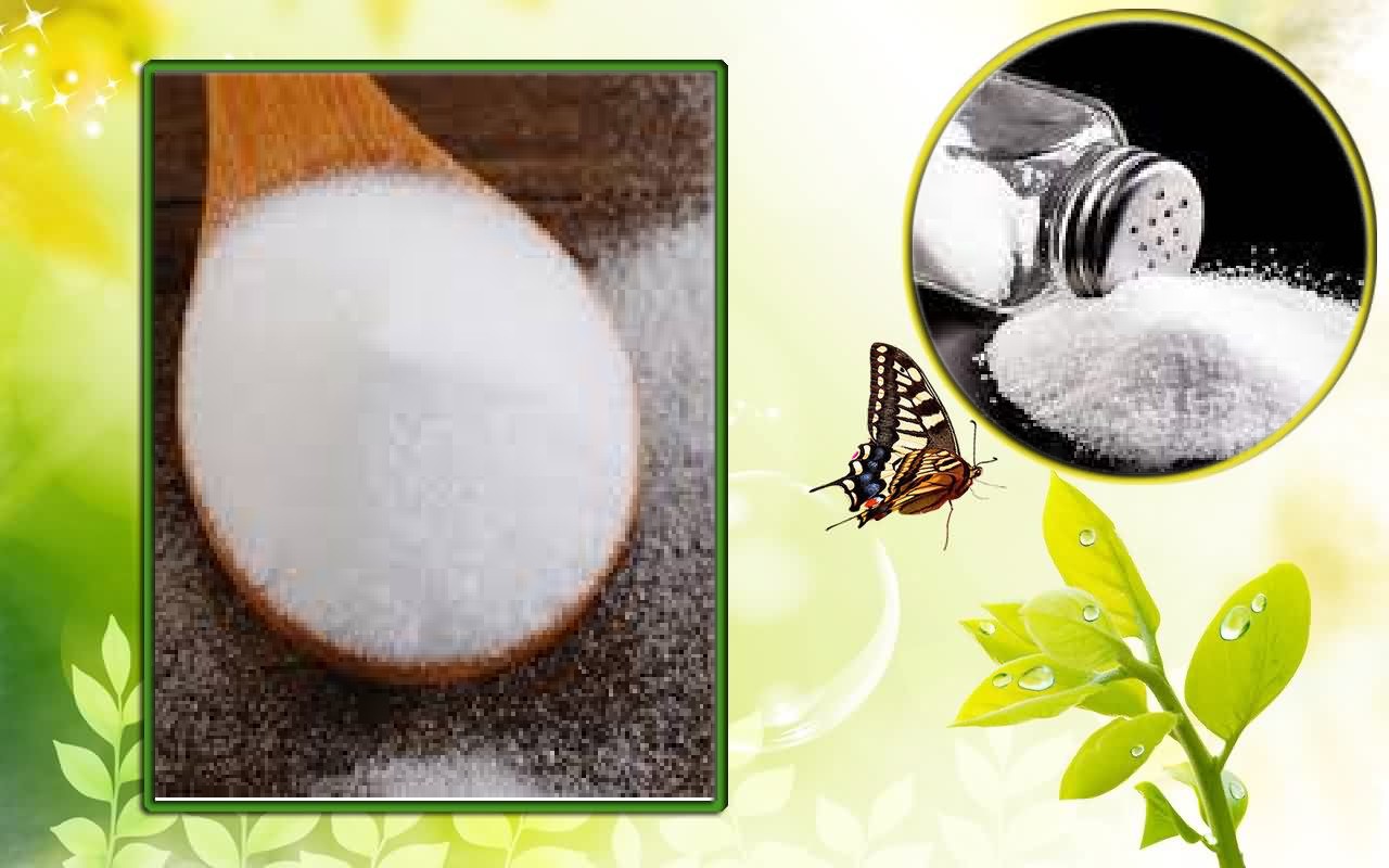 خرید آنلاین نمک یددار