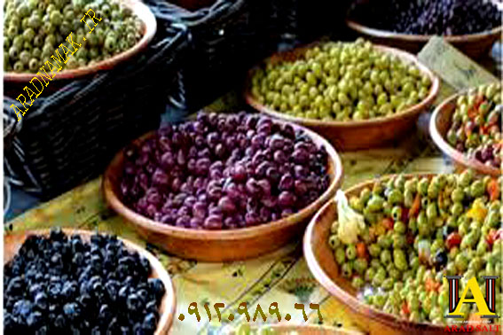 فروش نمک زیتون عمده