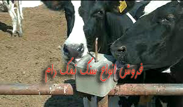 خرید سنگ نمک دامی