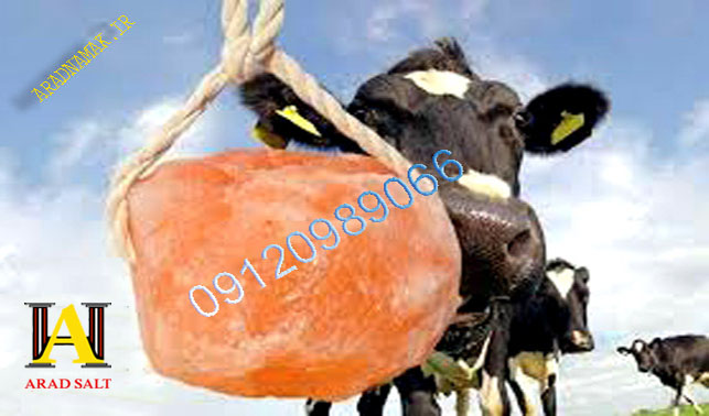 خرید سنگ نمک دامی